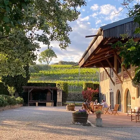 Domus Cariana San Pietro in Cariano