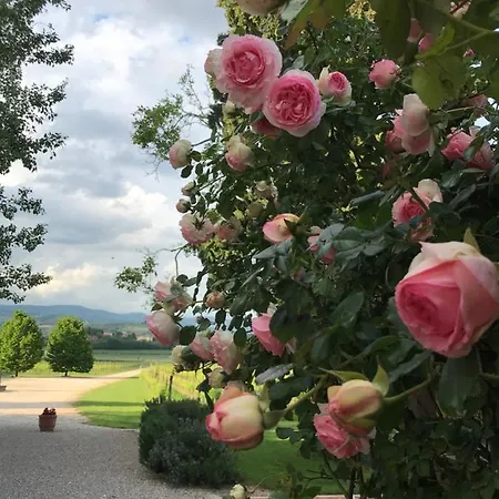 Domus Cariana * San Pietro in Cariano