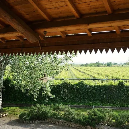 Domus Cariana Séjour à la ferme San Pietro in Cariano