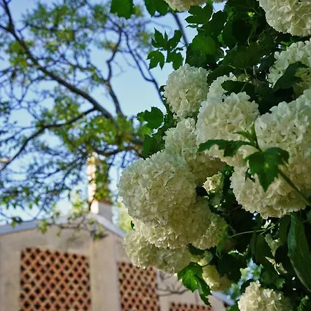 Gospodarstwo agroturystyczne Domus Cariana San Pietro in Cariano