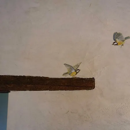 Domus Cariana 산피에트로인카리아노