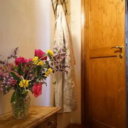 팜스테이 Domus Cariana 산피에트로인카리아노