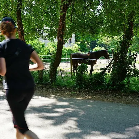 Feriegård Domus Cariana