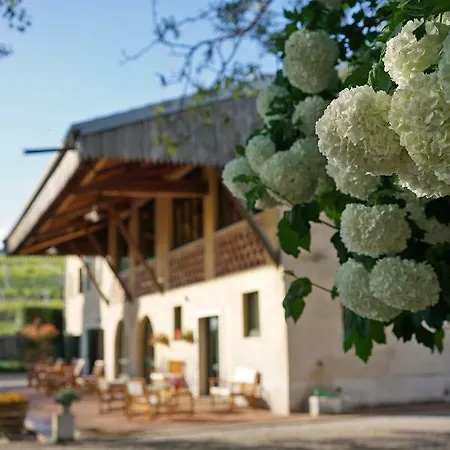 팜스테이 Domus Cariana 산피에트로인카리아노